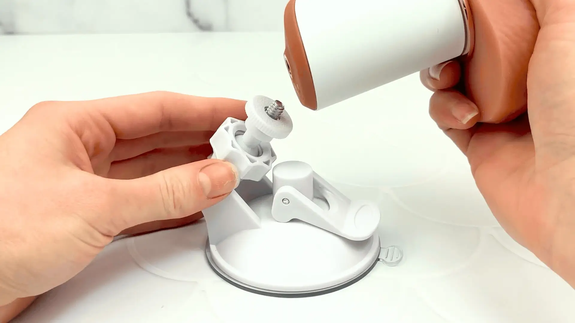 Warming, Thrusting, Vibrating, and Waterproof Dildo - Hands-Free Suction Cup Mount - Includes Remote! - Image 8